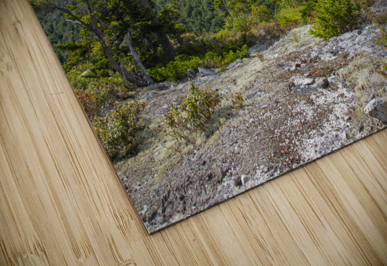 Bicknell Ridge Trail - White Mountains New Hampshire ScenicNH Photography Puzzle