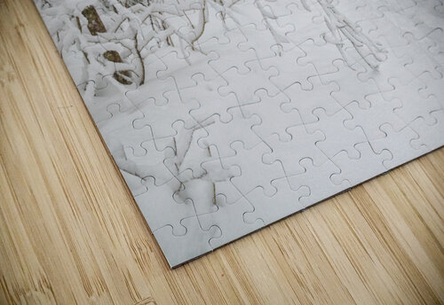 Lincoln Woods Trail - White Mountains New Hampshire ScenicNH Photography puzzle