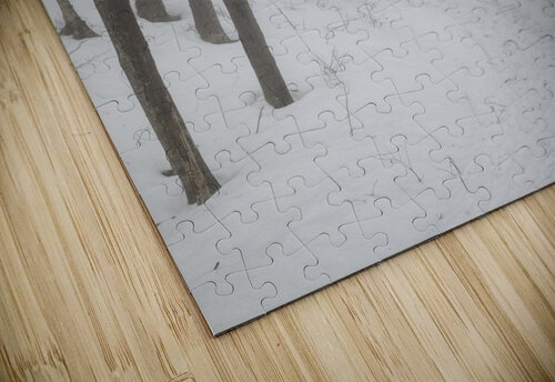 Flume Gorge - Lincoln New Hampshire ScenicNH Photography puzzle