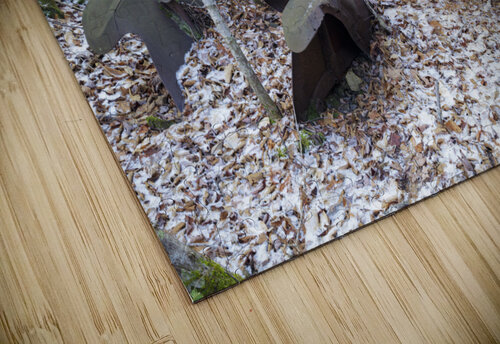 Tunnel Brook - Benton New Hampshire ScenicNH Photography puzzle