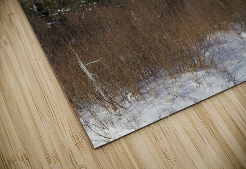 Pemi Trail - Franconia Notch State Park New Hampshire ScenicNH Photography puzzle