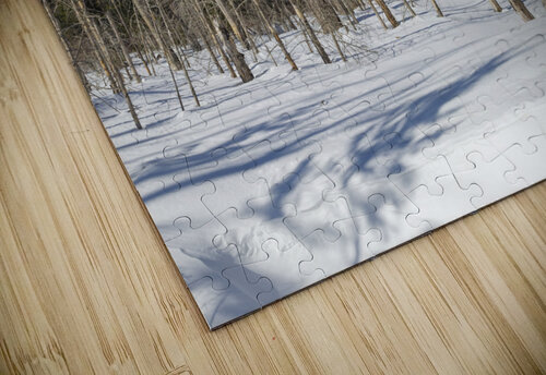 Pemi Trail - Franconia Notch White Mountains ScenicNH Photography puzzle