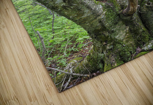 Kinsman Notch - White Mountains New Hampshire ScenicNH Photography puzzle