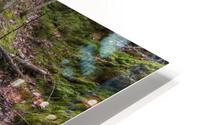 Flume Brook - Franconia Notch New Hampshire HD Metal print