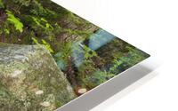 Walker Brook - Woodstock New Hampshire HD Metal print