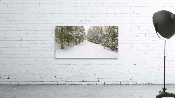 Franconia Bike Path - Franconia Notch New Hampshire Wall Preview