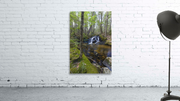 Crooked Brook - North Woodstock New Hampshire Wall Preview