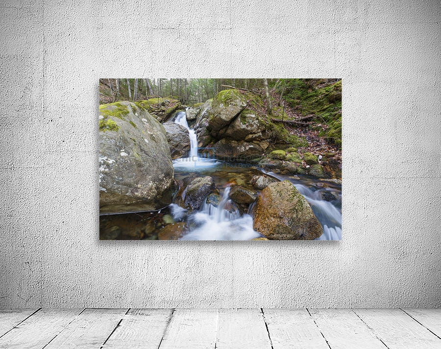 Flume Brook - Franconia Notch New Hampshire Wall Preview