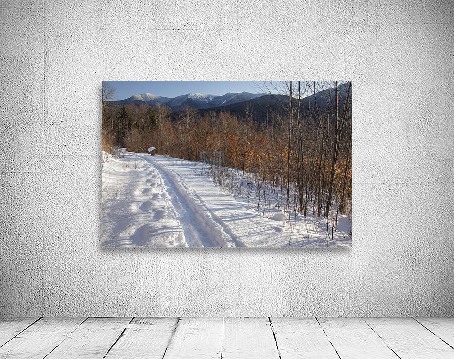 Forest Discovery Trail - White Mountains New Hampshire Wall Preview