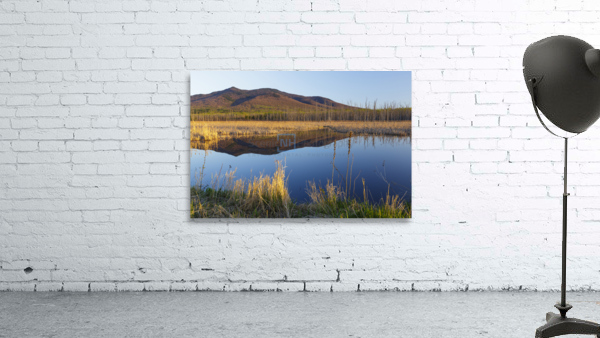 Pondicherry Wildlife Refuge - Jefferson New Hampshire Wall Preview