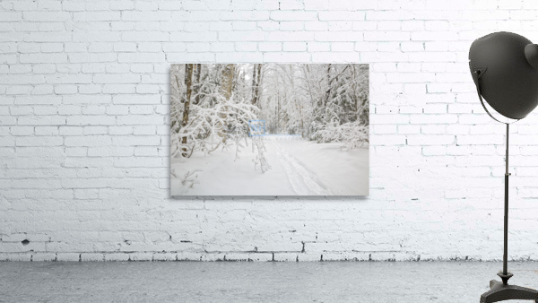 Lincoln Woods Trail - White Mountains New Hampshire Wall Preview