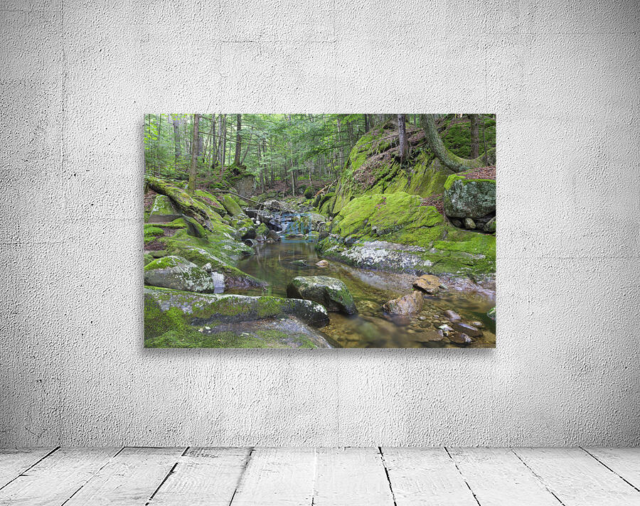 Walker Brook - Woodstock New Hampshire Wall Preview