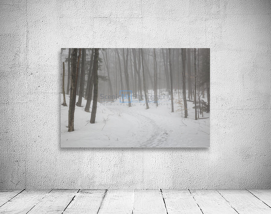 Flume Gorge - Lincoln New Hampshire Wall Preview