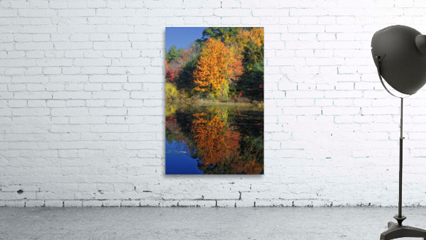 Clark Pond - Auburn New Hampshire Wall Preview