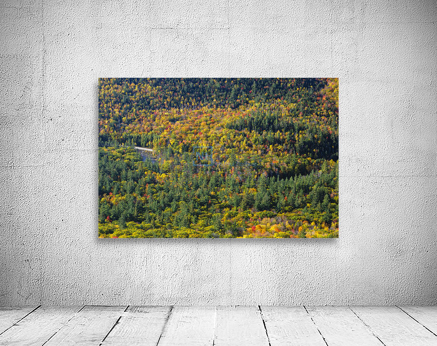 Boulder Loop Trail - White Mountains New Hampshire Wall Preview