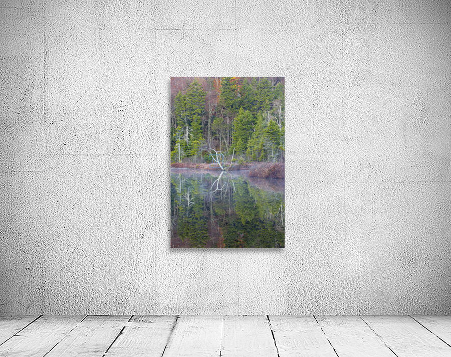 Upper Hall Ponds - Sandwich New Hampshire Wall Preview