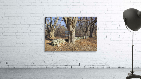 Odiorne Point State Park - Rye New Hampshire Wall Preview