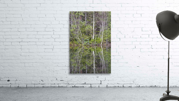 Kancamagus Highway - White Mountains New Hampshire Wall Preview