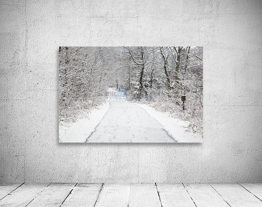 Franconia Bike Path - Franconia Notch New Hampshire Wall Preview