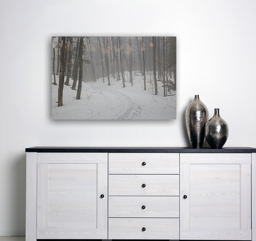 Flume Gorge - Lincoln New Hampshire Reproduction