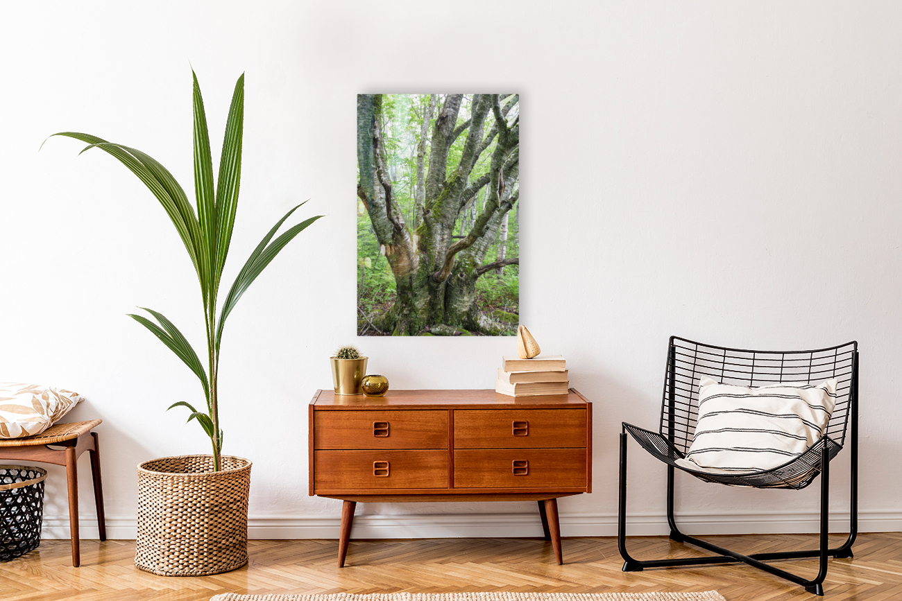 Kinsman Notch - White Mountains New Hampshire Reproduction