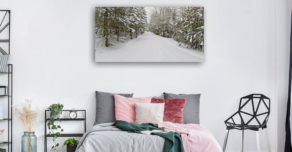 Franconia Bike Path - Franconia Notch New Hampshire by ScenicNH Photography