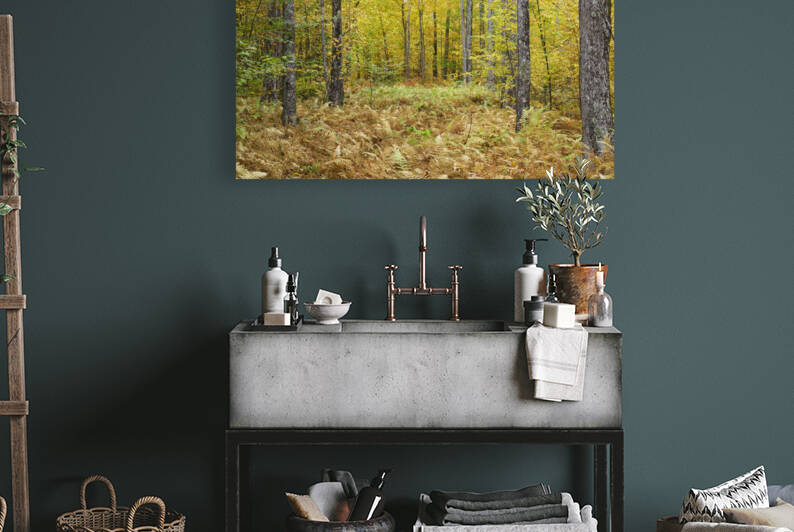 Gale River Road - Bethlehem New Hampshire by ScenicNH Photography