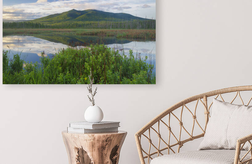 Cherry Mountain - Moorhen Marsh Pondicherry Wildlife Refuge by ScenicNH Photography