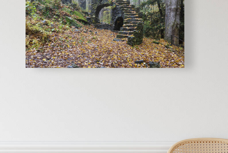 Madame Sherri Forest - Chesterfield New Hampshire by ScenicNH Photography