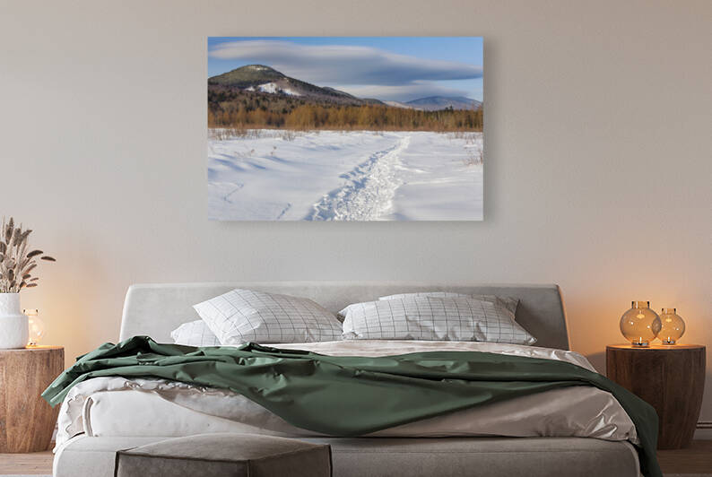 Downes - Oliverian Brook Ski Trail - White Mountains New Hampshire by ScenicNH Photography