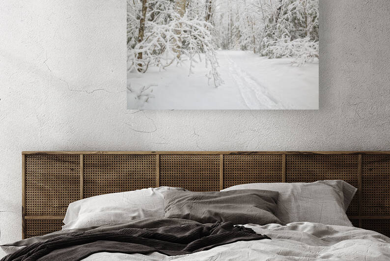 Lincoln Woods Trail - White Mountains New Hampshire by ScenicNH Photography