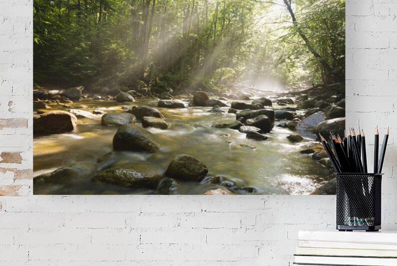 Cedar Brook - Pemigewasset Wilderness New Hampshire by ScenicNH Photography