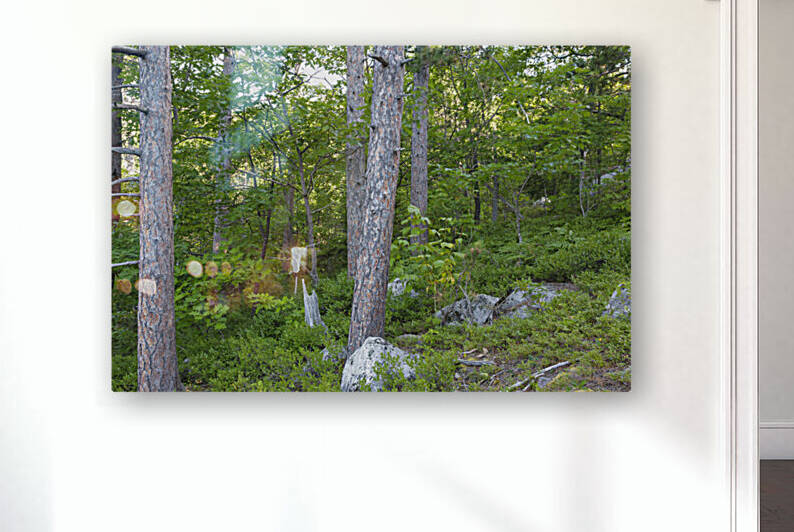 South Moat Mountain - Albany New Hampshire by ScenicNH Photography