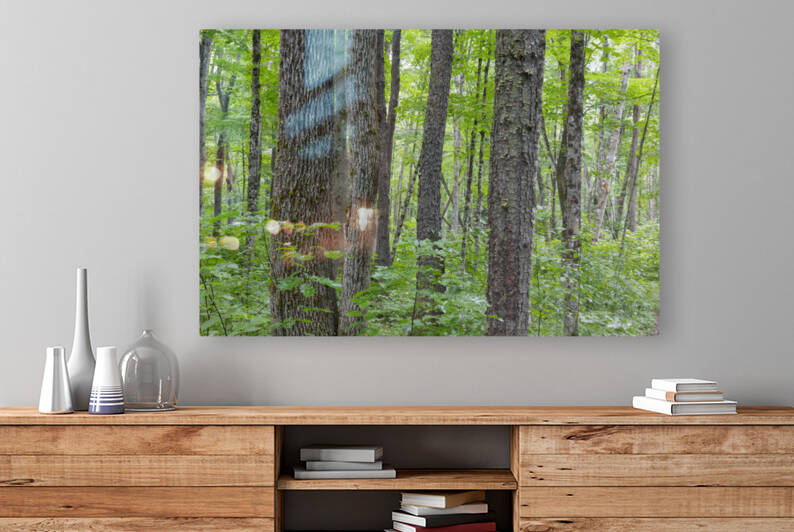 Osseo Trail - White Mountains New Hampshire by ScenicNH Photography