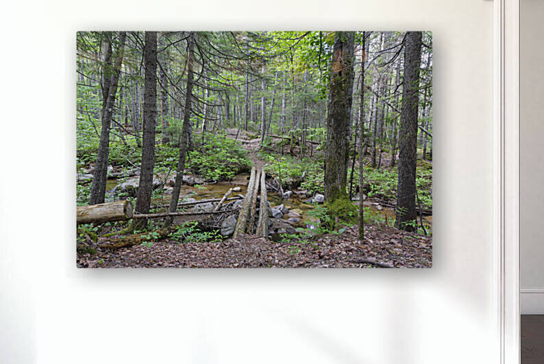 Nancy Pond Trail - Pemigewasset Wilderness New Hampshire  by ScenicNH Photography