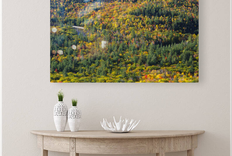Boulder Loop Trail - White Mountains New Hampshire by ScenicNH Photography