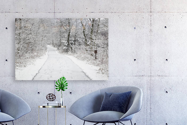 Franconia Bike Path - Franconia Notch New Hampshire by ScenicNH Photography