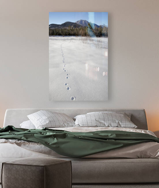 Mount Passaconaway - Albany New Hampshire by ScenicNH Photography