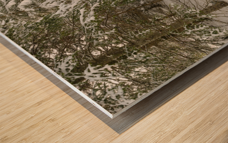 Franconia Bike Path - Franconia Notch New Hampshire Wood print