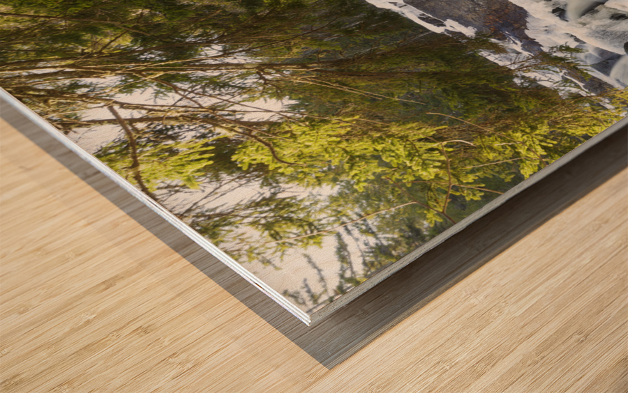 Georgiana Falls - Franconia Notch State Park New Hampshire Wood print