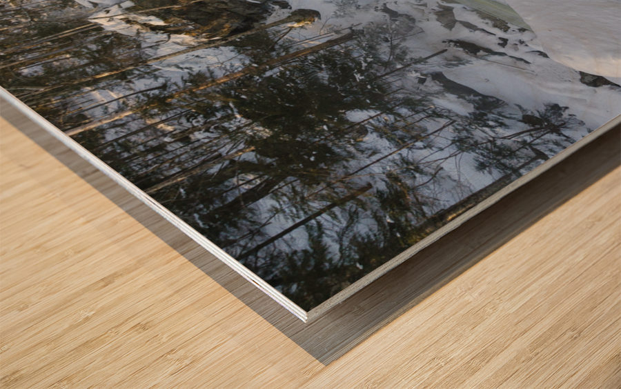 Kinsman Falls - Franconia Notch State Park New Hampshire Wood print