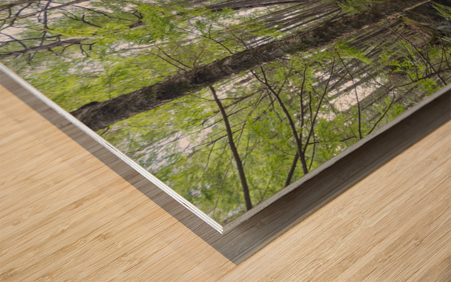 Crooked Brook - North Woodstock New Hampshire Wood print