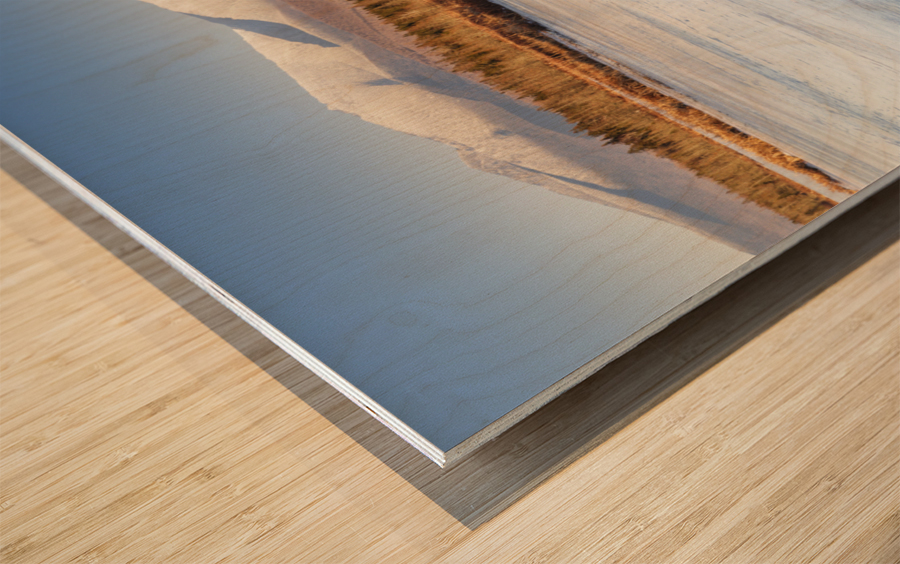 Presidential Range - Pondicherry Wildlife Refuge New Hampshire Wood print