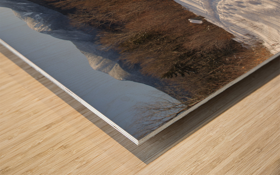 Forest Discovery Trail - White Mountains New Hampshire Wood print