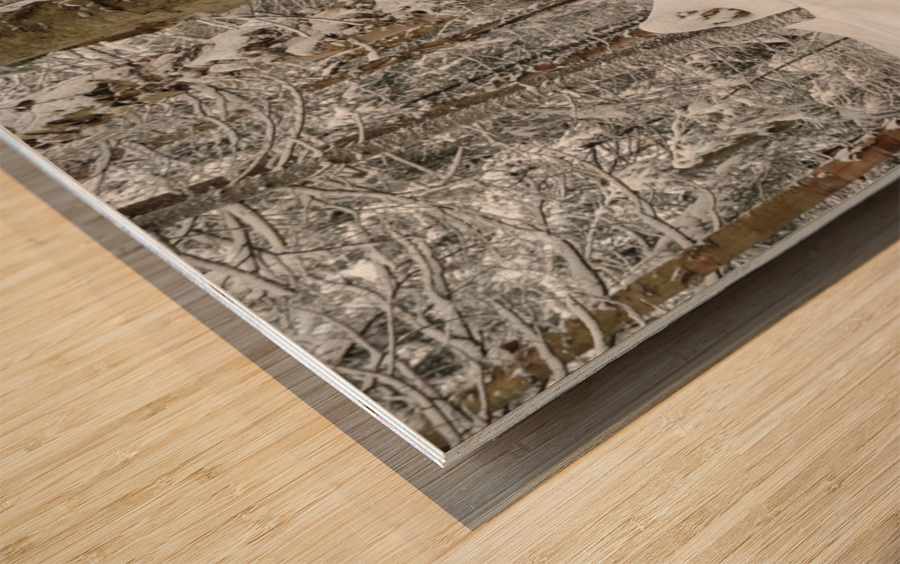 Mount Jim - Kinsman Notch New Hampshire Wood print