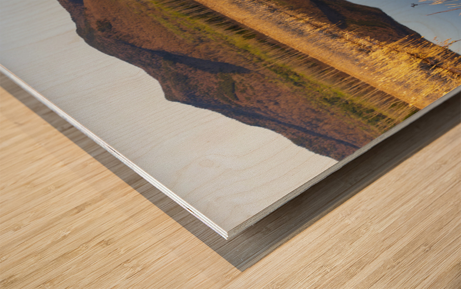 Pondicherry Wildlife Refuge - Jefferson New Hampshire Wood print