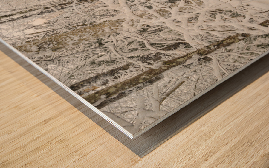 Lincoln Woods Trail - White Mountains New Hampshire Wood print