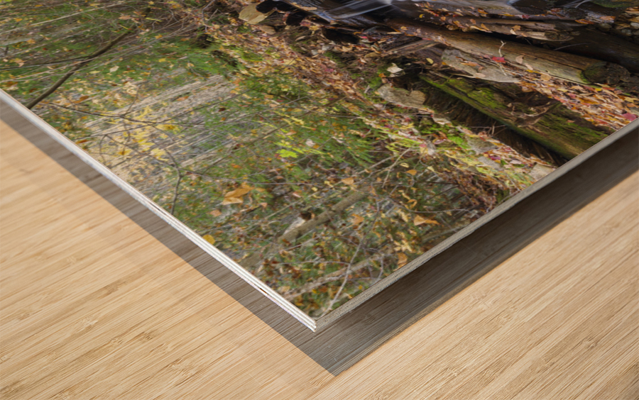 Tecumseh Brook  - Waterville Valley New Hampshire Wood print