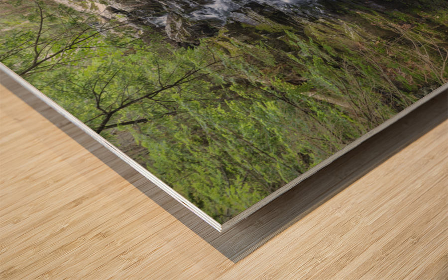 Gordon Fall - Randolph New Hampshire  Wood print