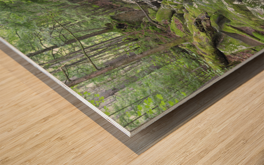 Walker Brook - Woodstock New Hampshire Wood print